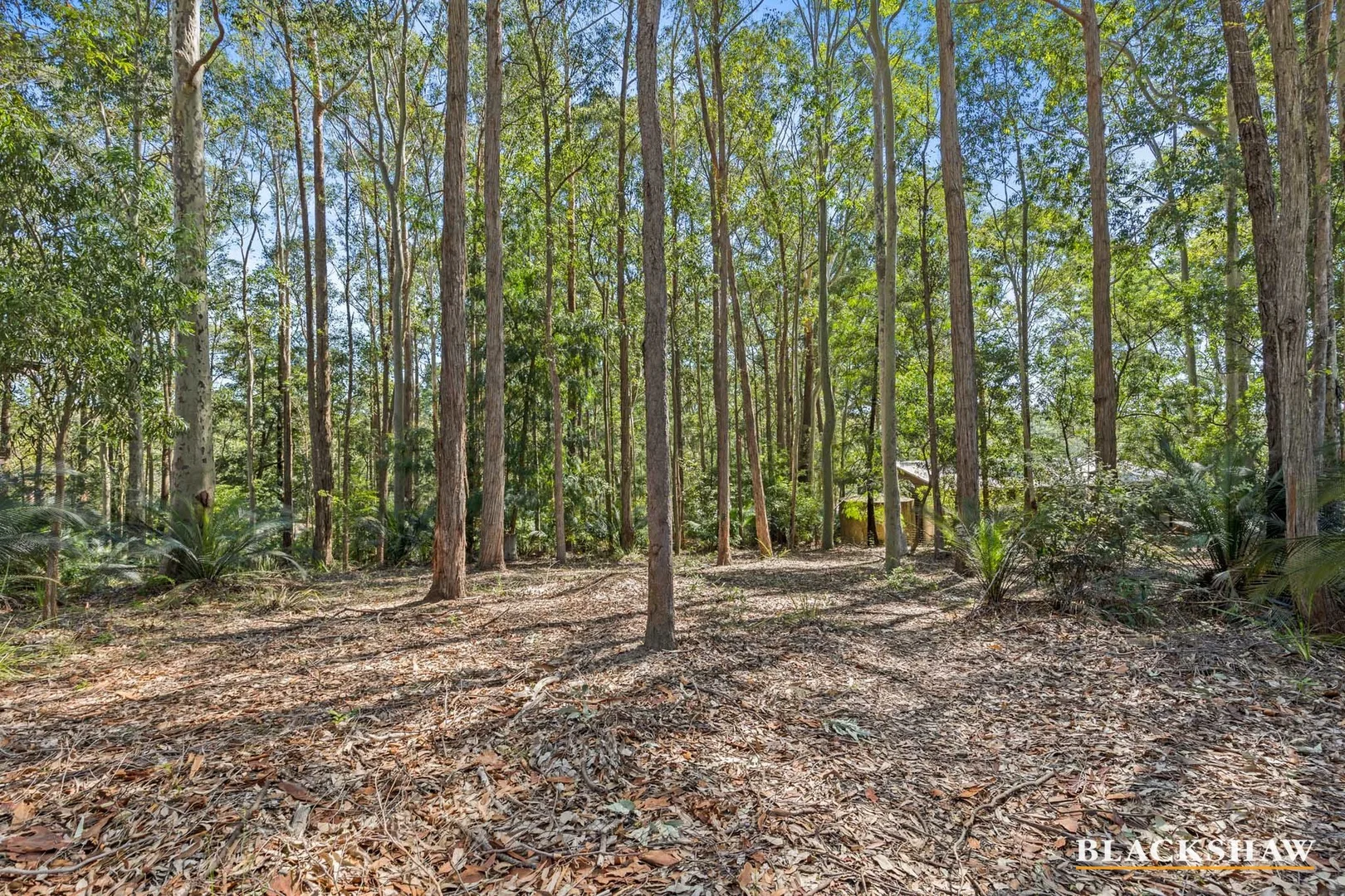 Additional image 6 of 7 Murramarang Crescent, South Durras NSW 2536