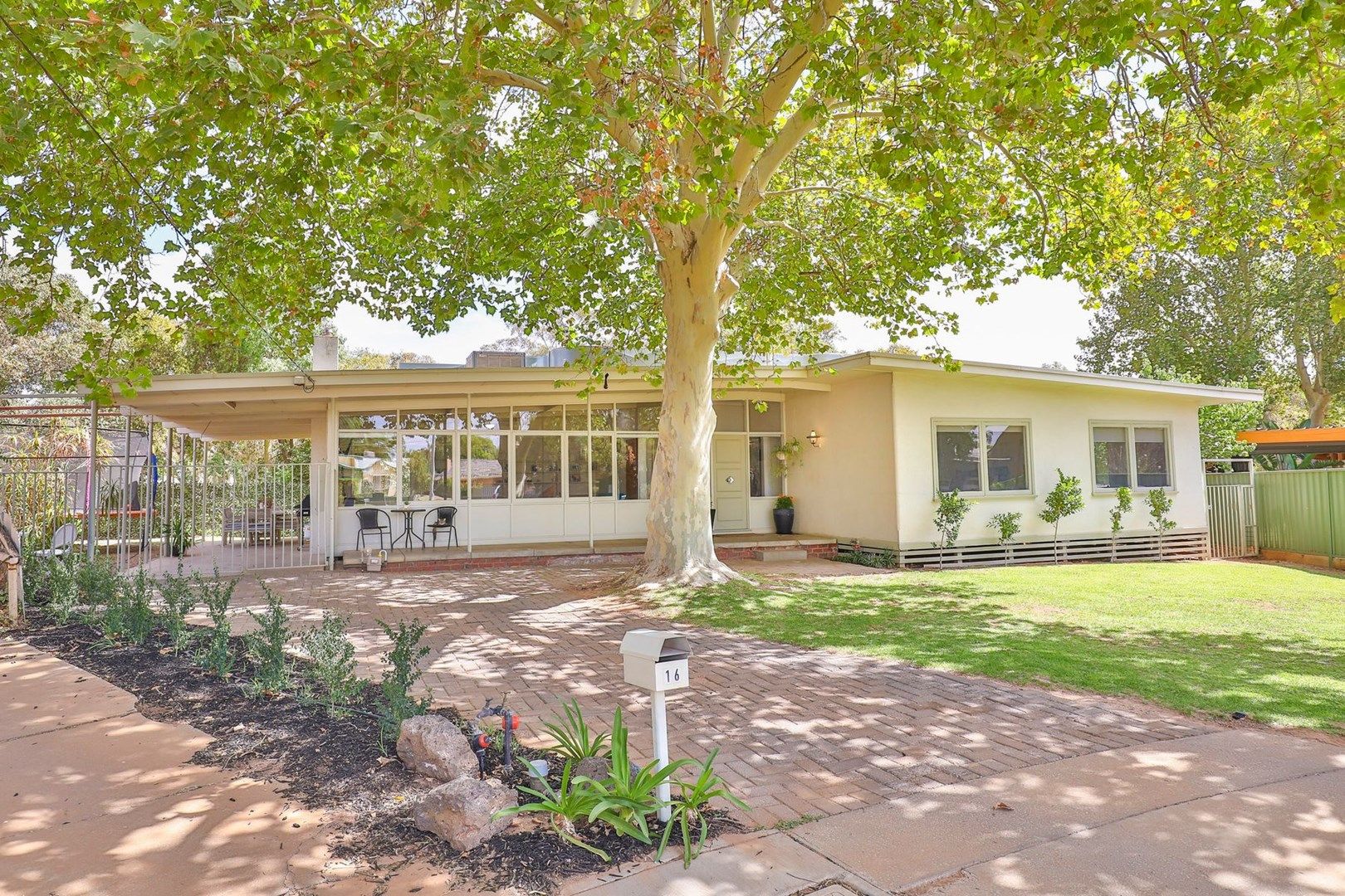 16 Campbell Grove, Mildura VIC 3500, Image 0