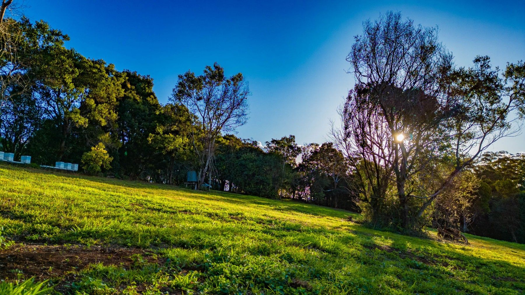 187191 Western Avenue, Montville QLD 4560 House for Sale Domain