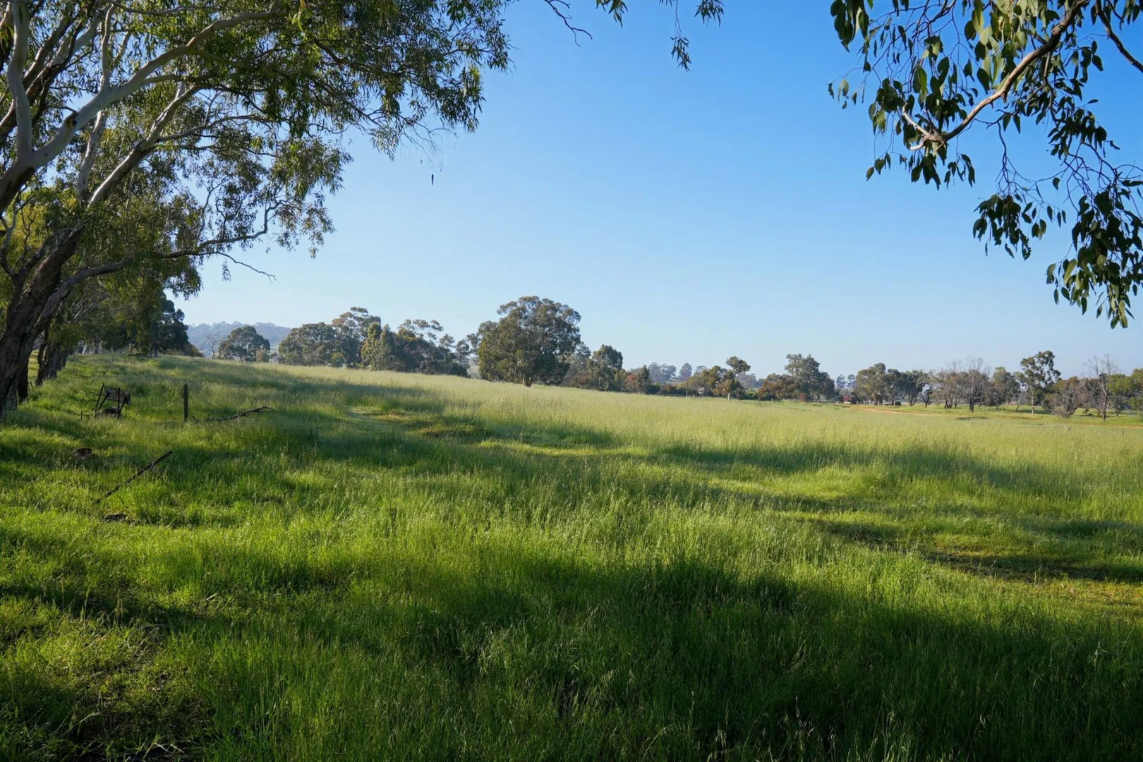 Image 13
