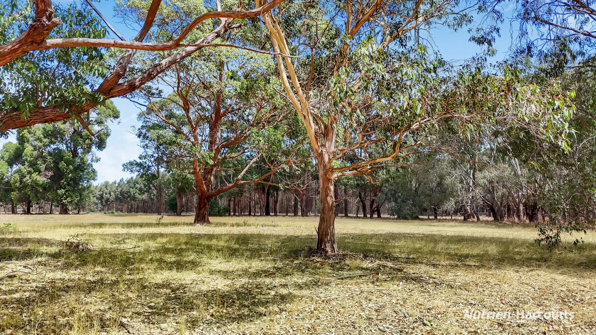 Additional image 25 of 230 Mcleans Road, Dartmoor VIC 3304