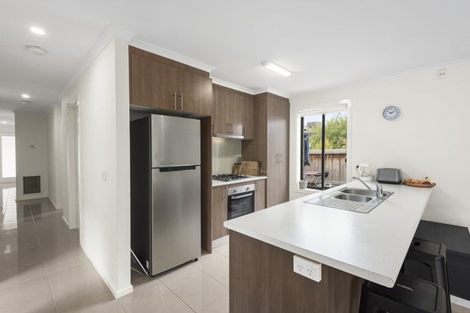 8 timberland street leopold