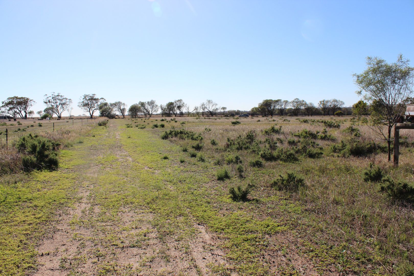 198 Dowerin-Meckering Road, Meckering WA 6405, Image 1