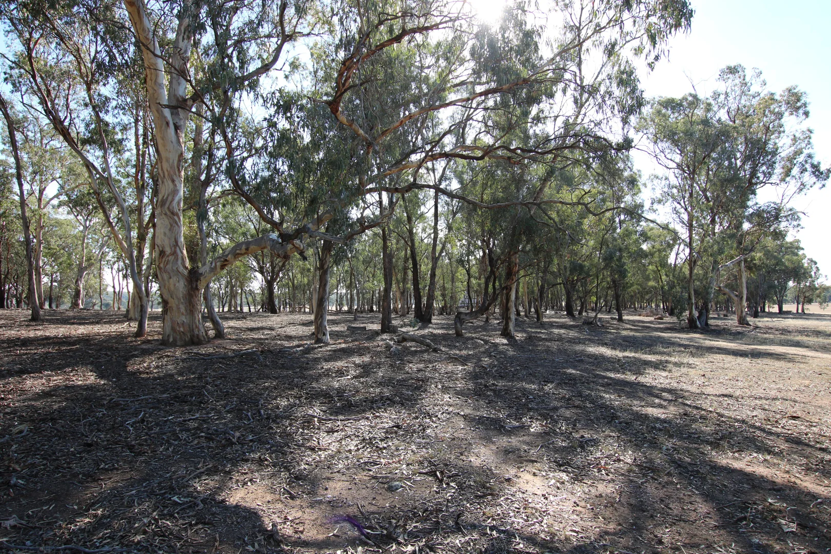 Image 15