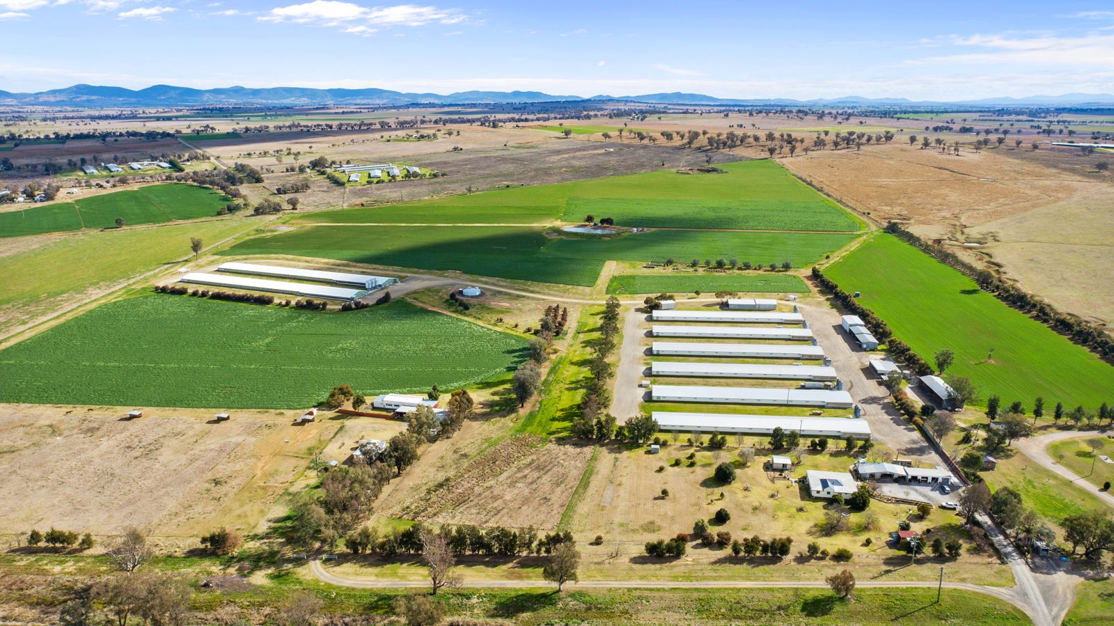 961963 Wallamore Road, Tamworth NSW 2340 Livestock Property for Sale