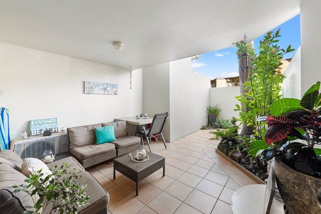 69 1 Bedroom Apartments For Sale In Sunshine Coast Qld Domain