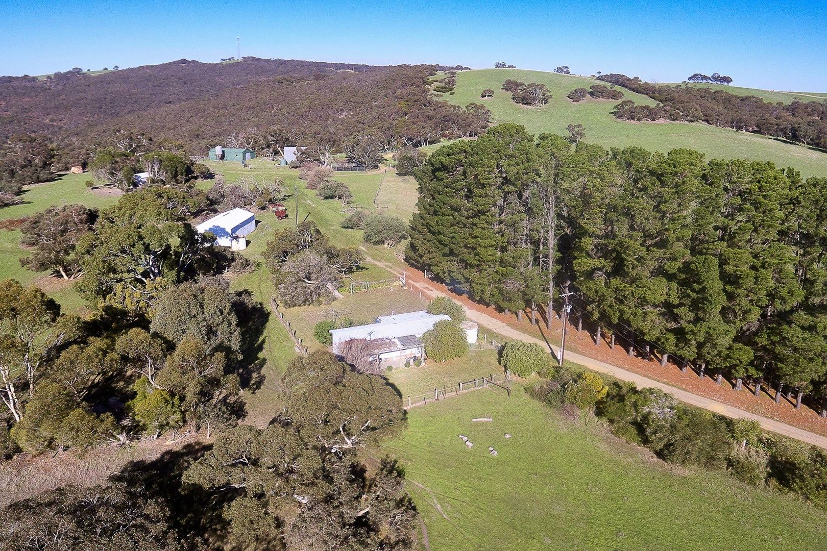 2069 Bull Creek Road, Mount Observation SA 5255, Image 0