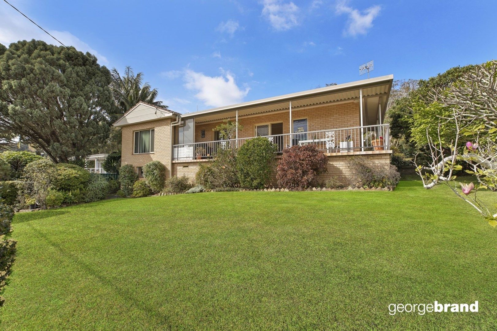 138 The Round Drive, Avoca Beach NSW 2251, Image 0