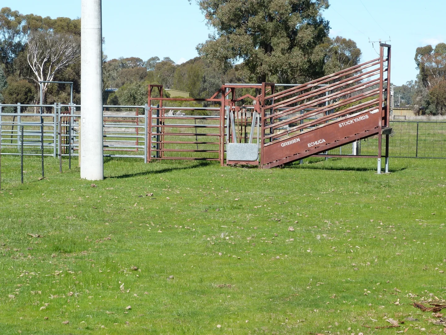 Image 15