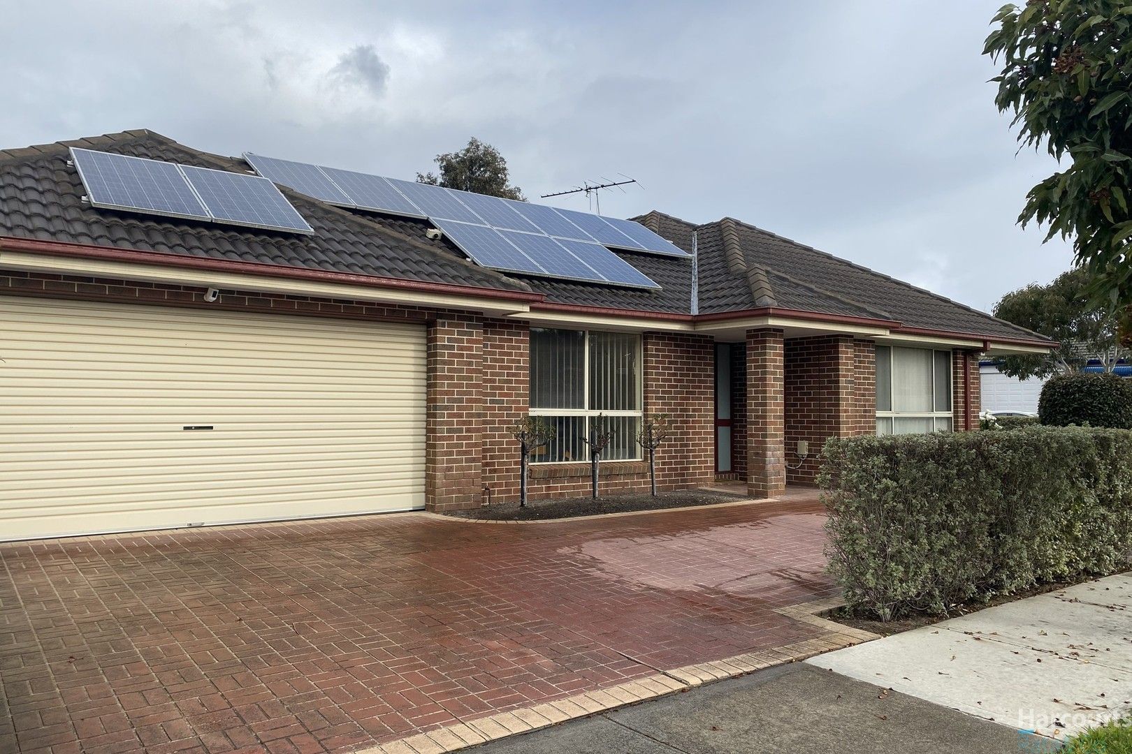 3 bedrooms House in 5 Nivea Terrace SOUTH MORANG VIC, 3752