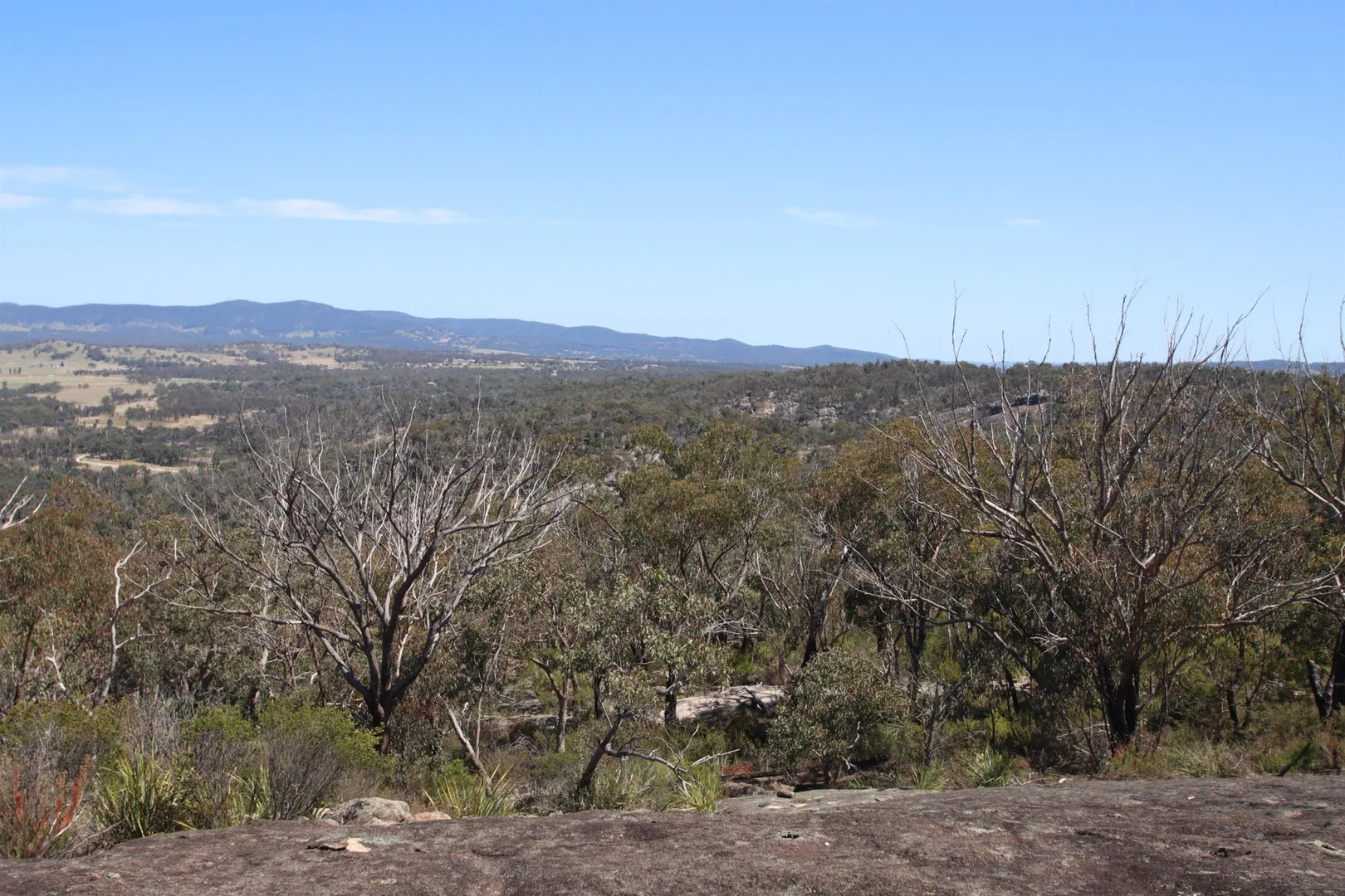 Image 10