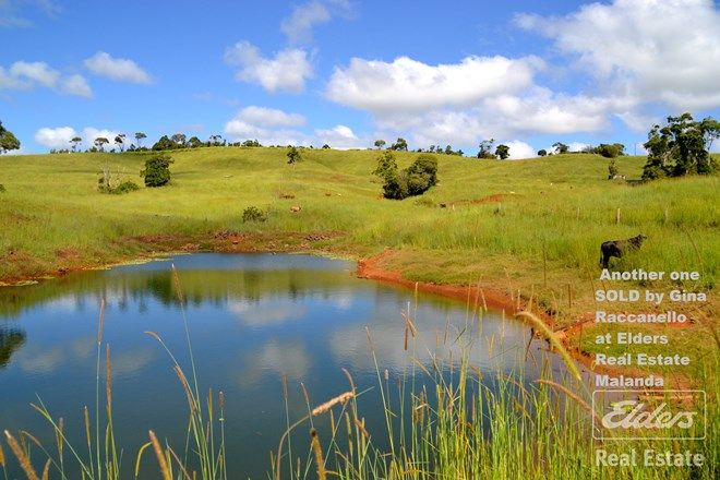 Picture of TARZALI QLD 4885