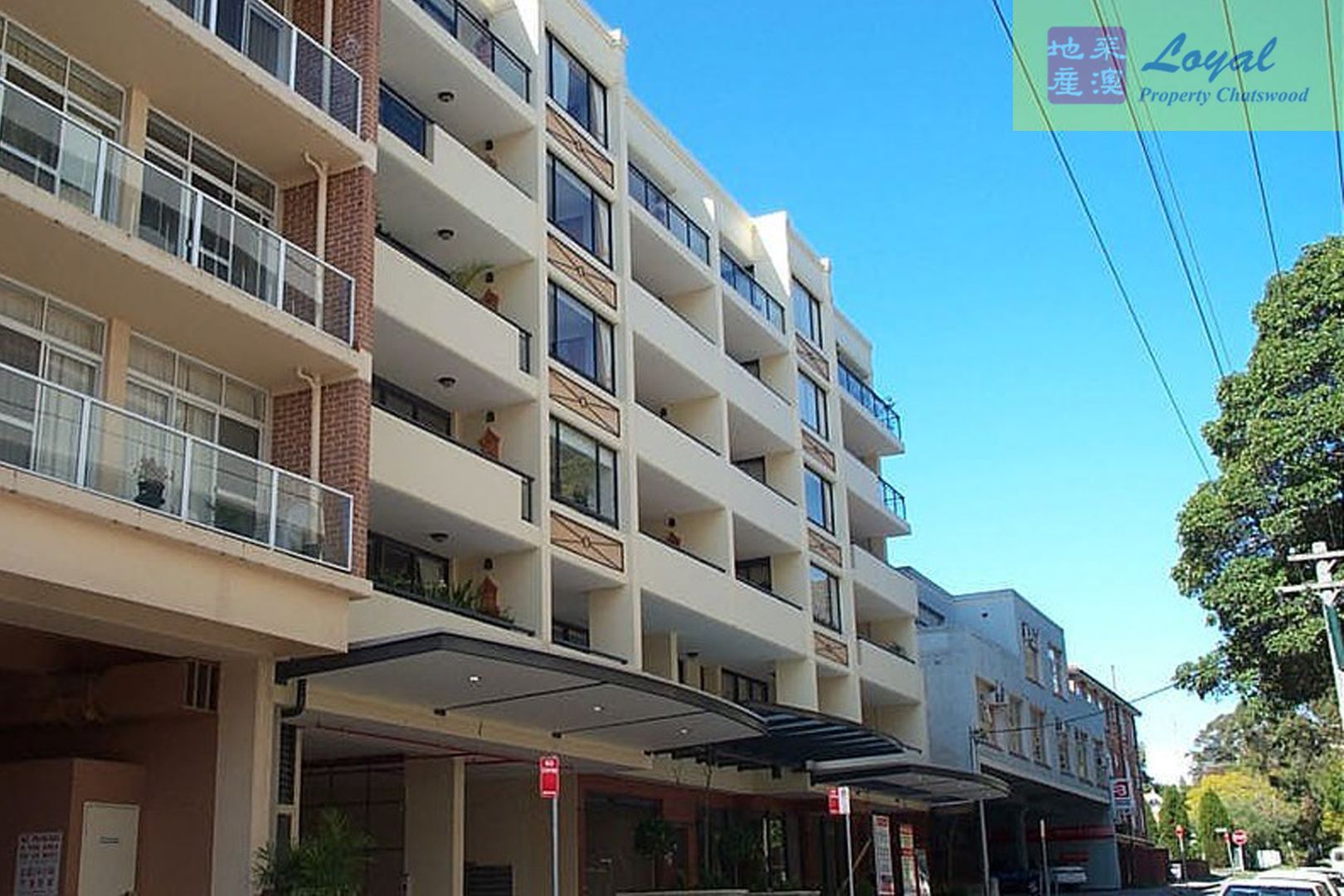 102 31 Bertram Street Chatswood Nsw 2067 Apartment For Rent 460 Domain