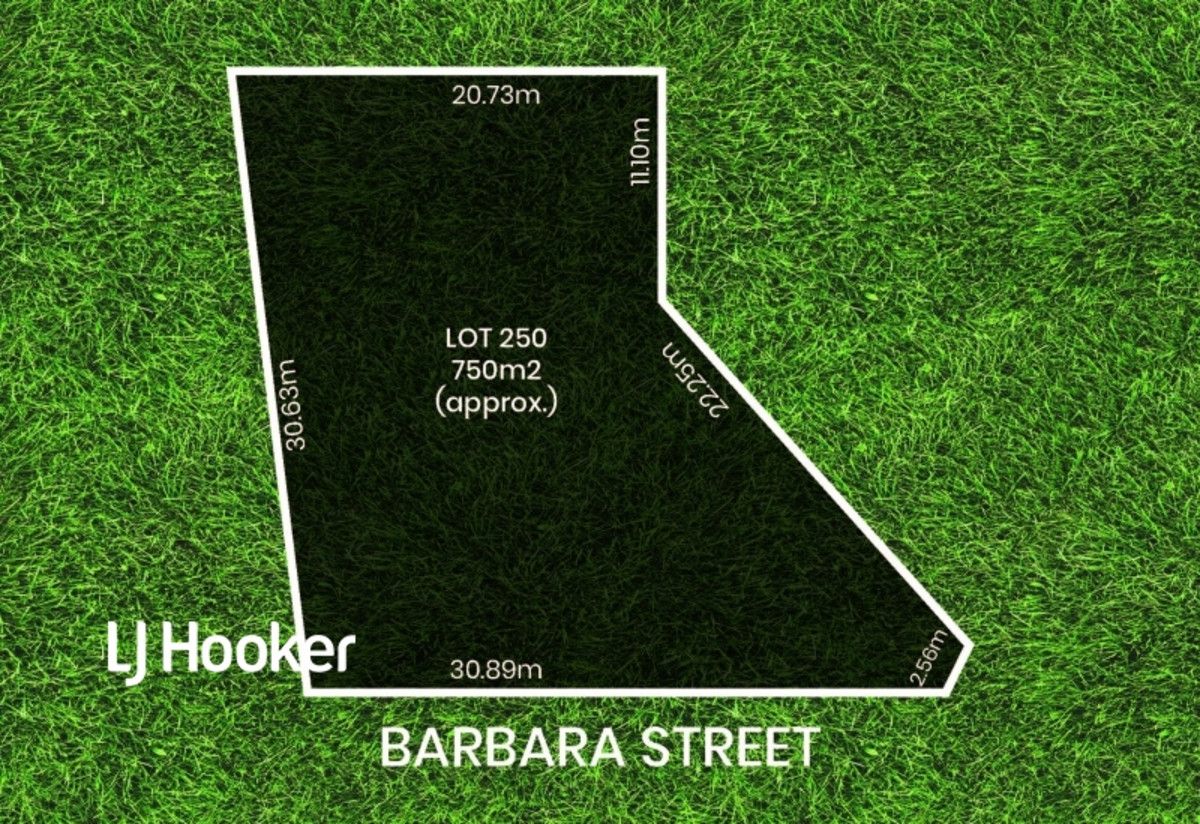 20 Barbara Street, Modbury SA 5092, Image 1