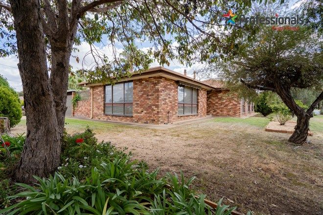204 4 Bedroom Free Standing Houses For Sale In Wagga Wagga