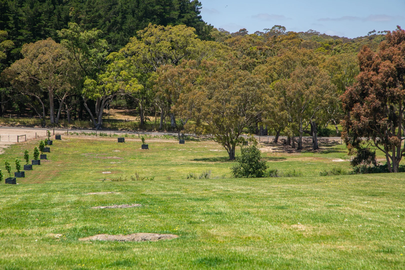 764 (Lot 105) Flaxley Road, Flaxley SA 5153 | Domain
