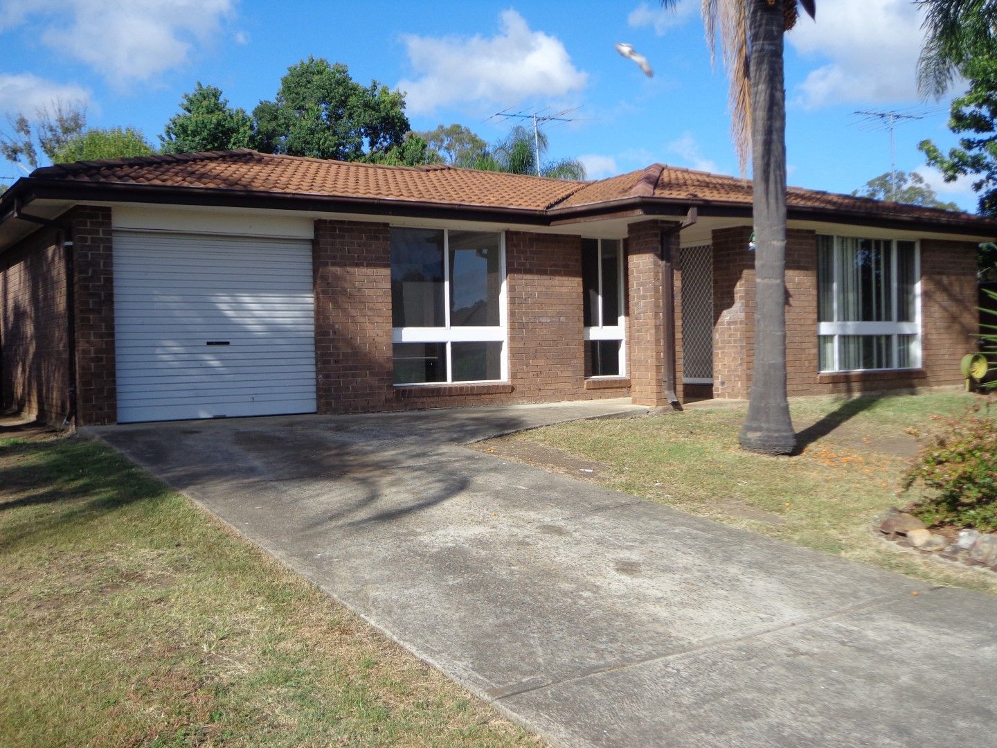 11 Lima Close, Claremont Meadows NSW 2747, Image 0