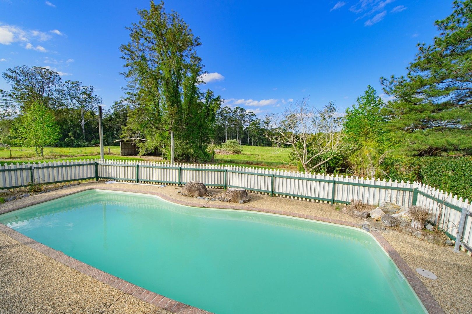 19 Morilla Place, Beechwood NSW 2446 House for Rent Domain