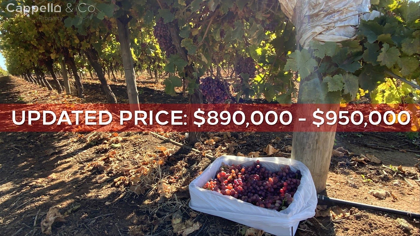 91 Savage Road, Bilbul NSW 2680 House for Sale Domain