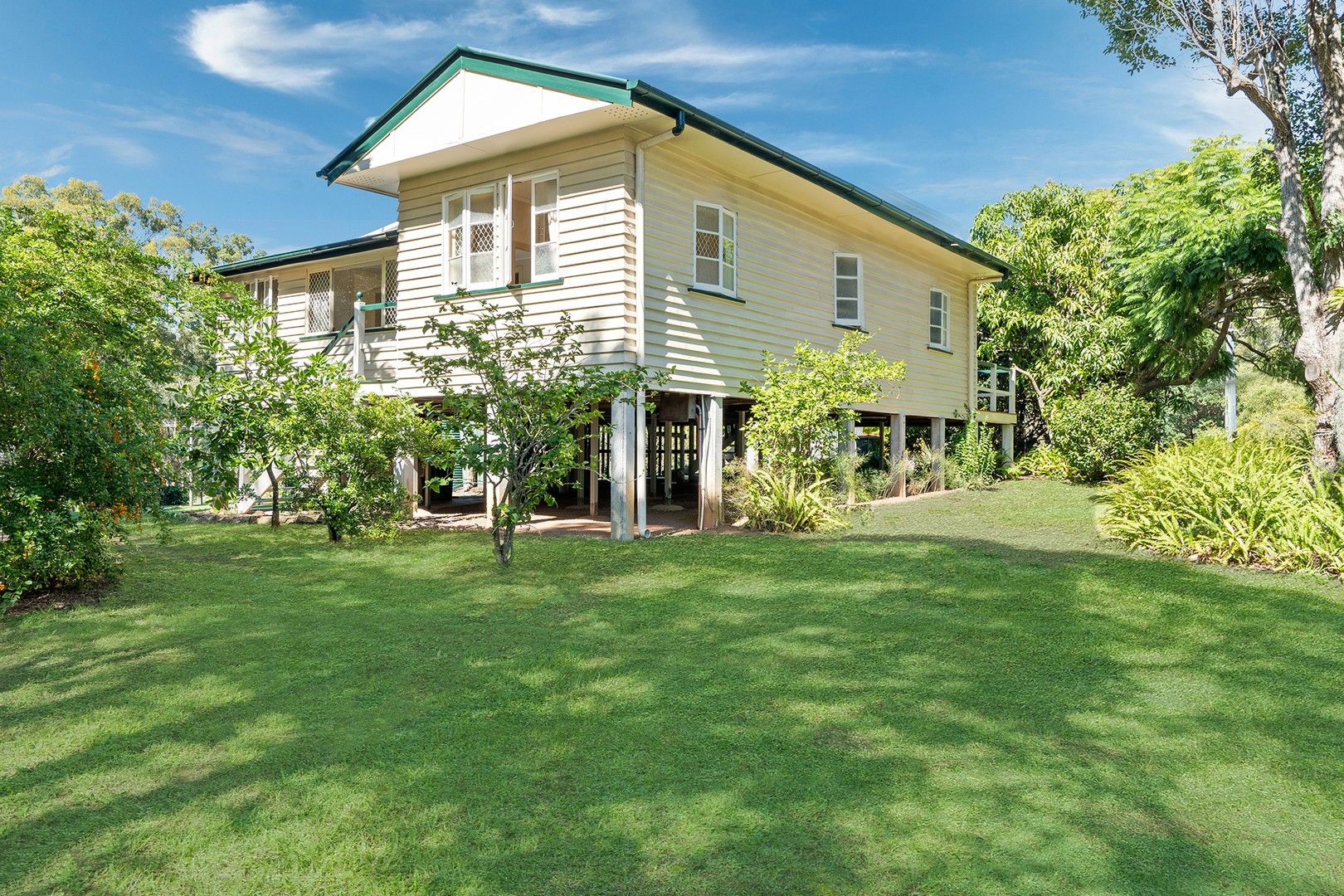 41 Grieve Road, Rochedale QLD 4123 House For Rent Domain