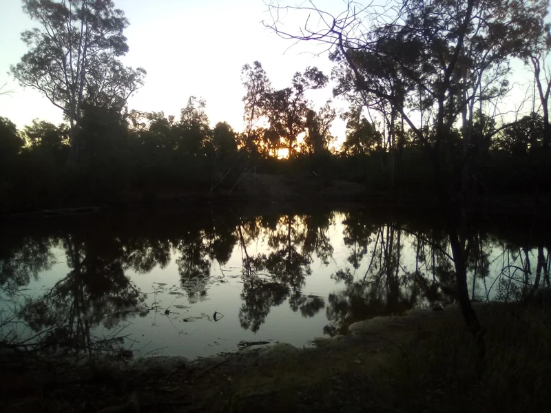Image 11