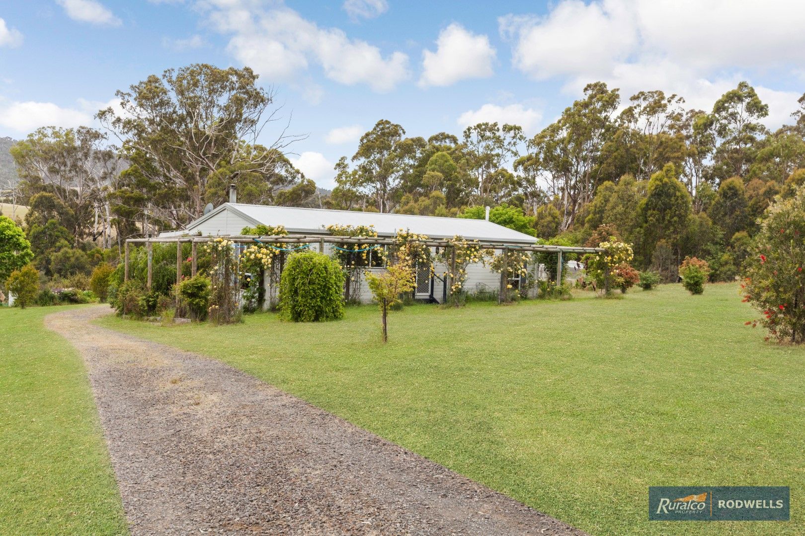 375 Clonbinane Road, Clonbinane VIC 3658, Image 0