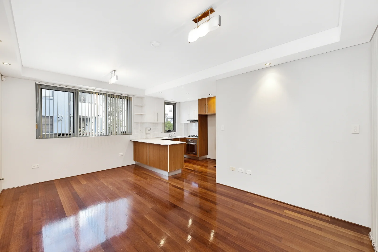 2B Marsden Street, Camperdown NSW 2050