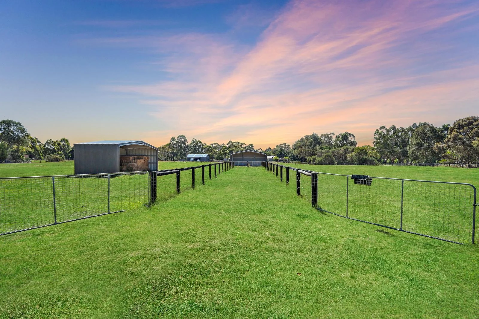 Additional image 19 of 45 Scott Road, Cranbourne South VIC 3977