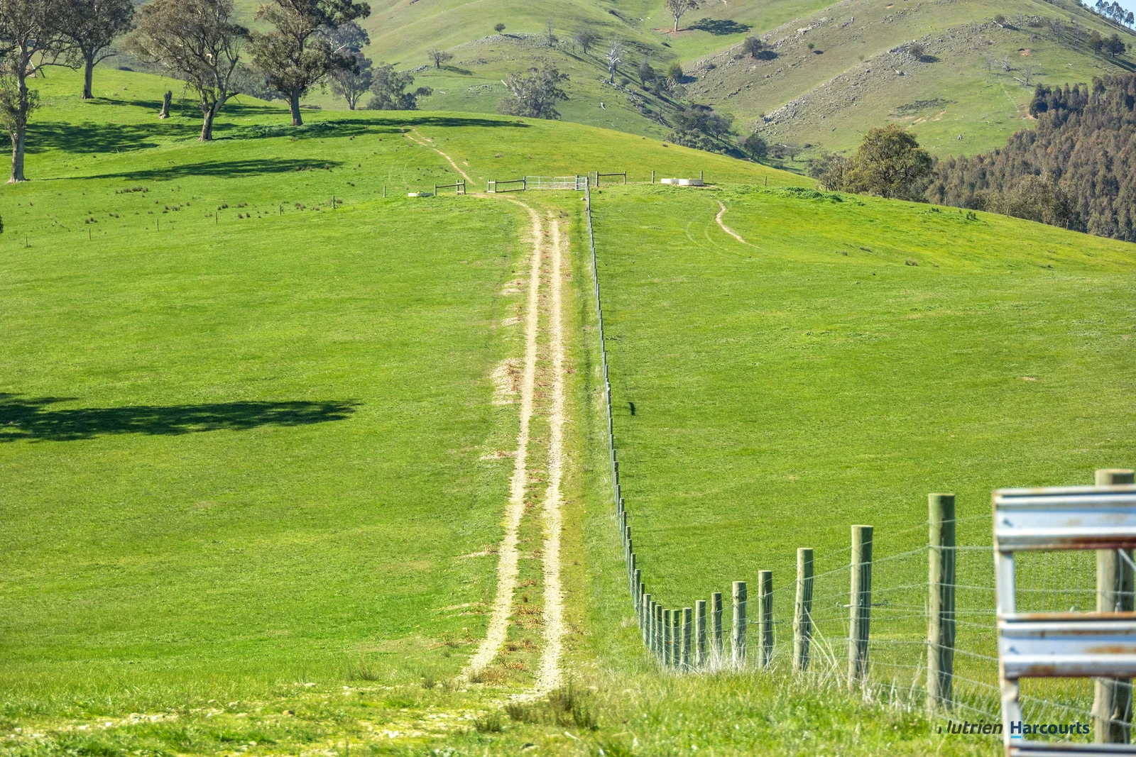 Image 16