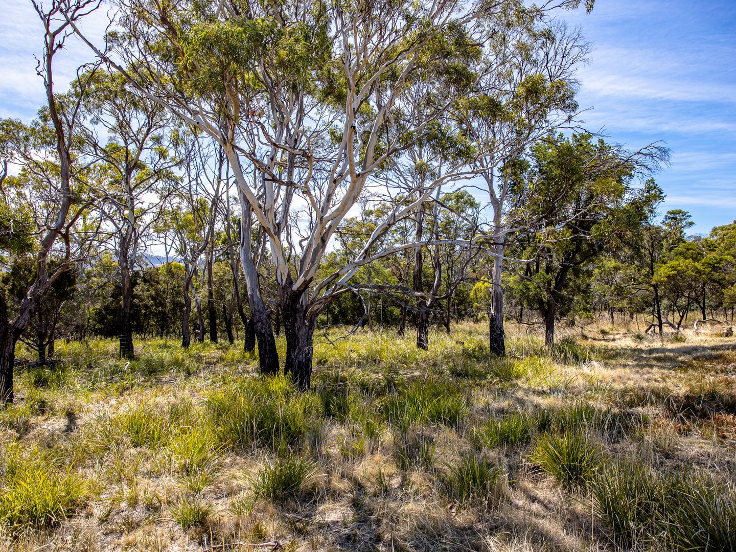 Lot 3 Fynbos Place, Primrose Sands TAS 7173, Image 2