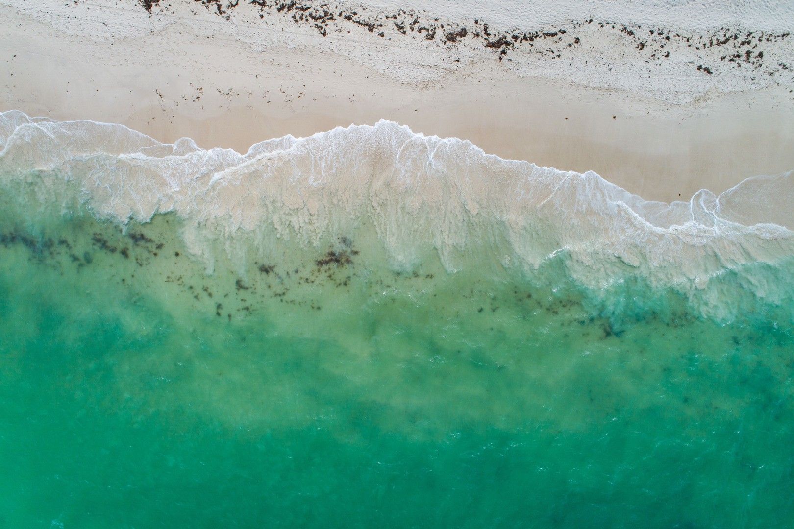 5 bedrooms House in 51 Ashmore Way SORRENTO WA, 6020