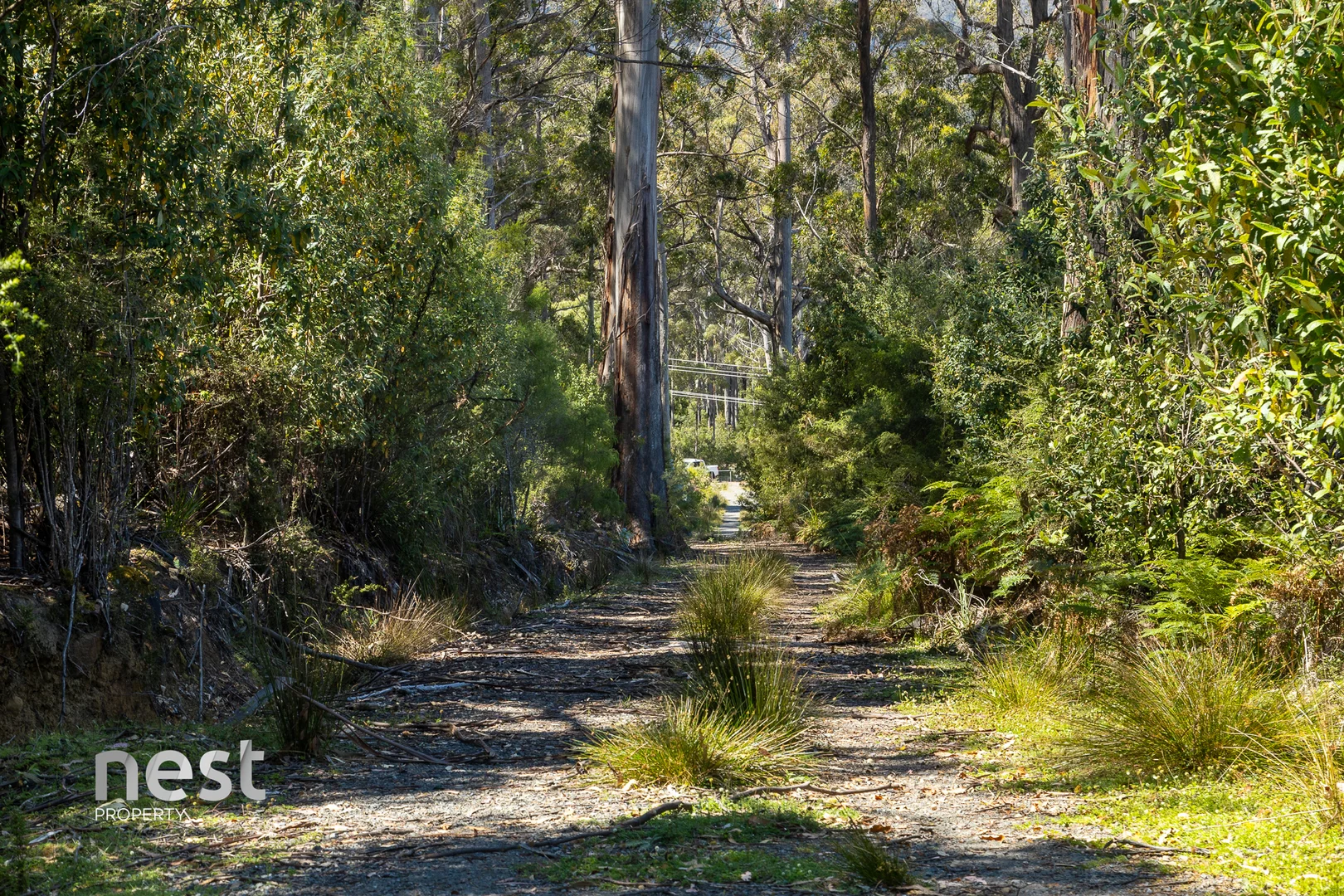 Image 18