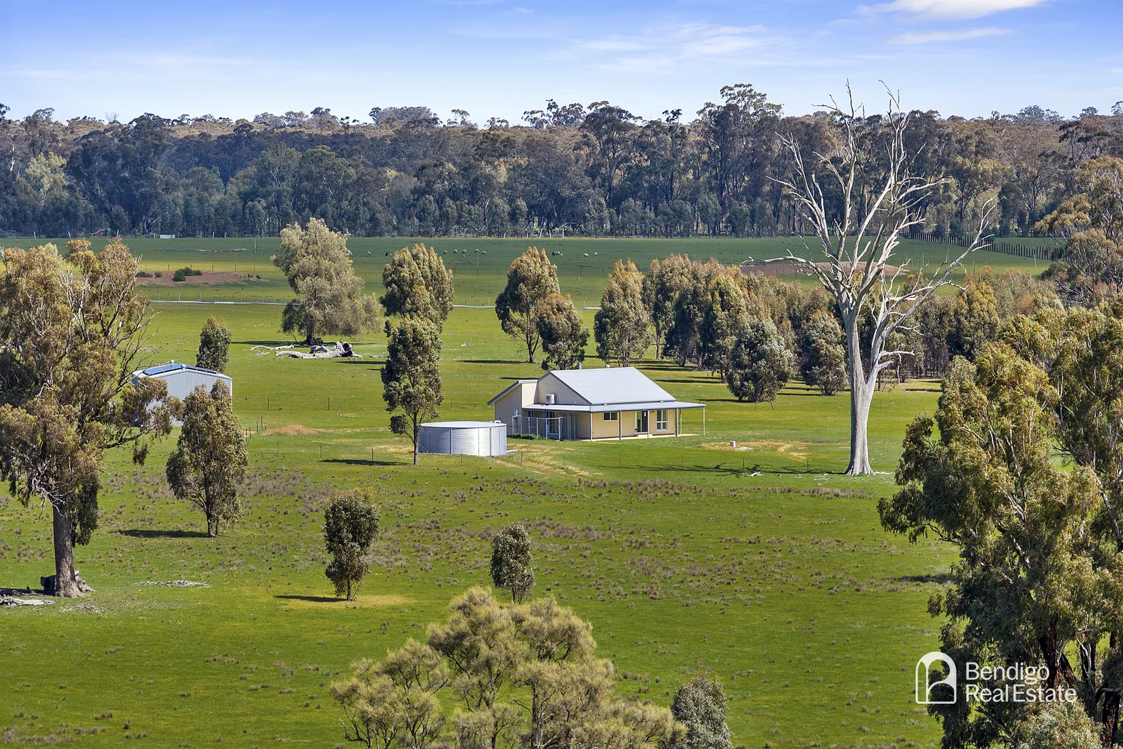 Additional image 11 of 1186 Derrinal-Crosbie Road, Toolleen VIC 3551