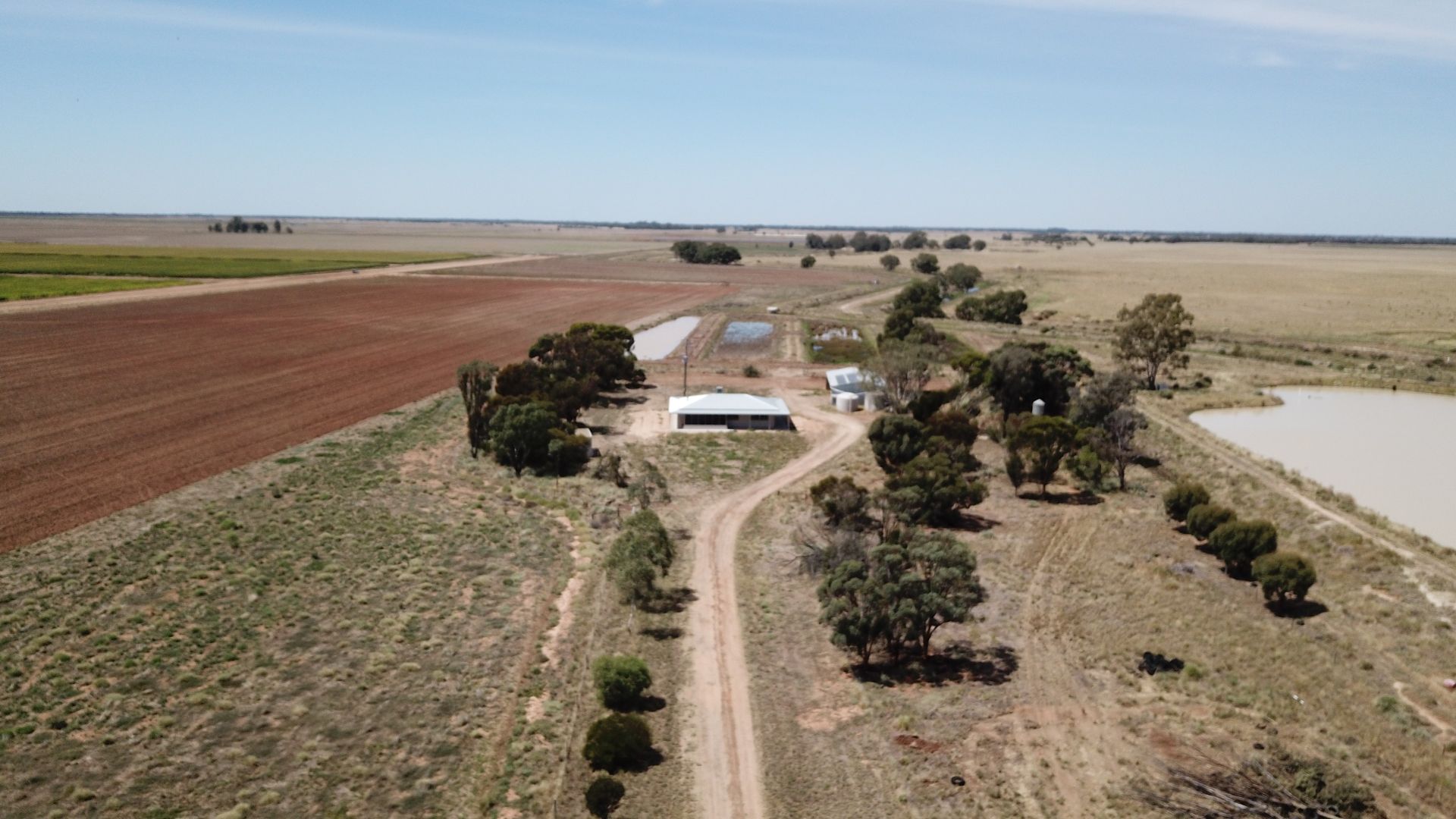 Conargo Road, Deniliquin NSW 2710, Image 2