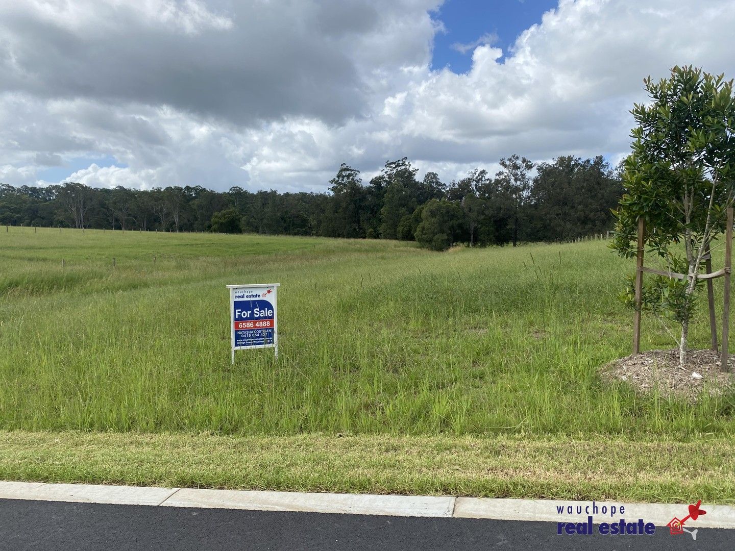 Lot 136 Neville Road, Beechwood NSW 2446, Image 0