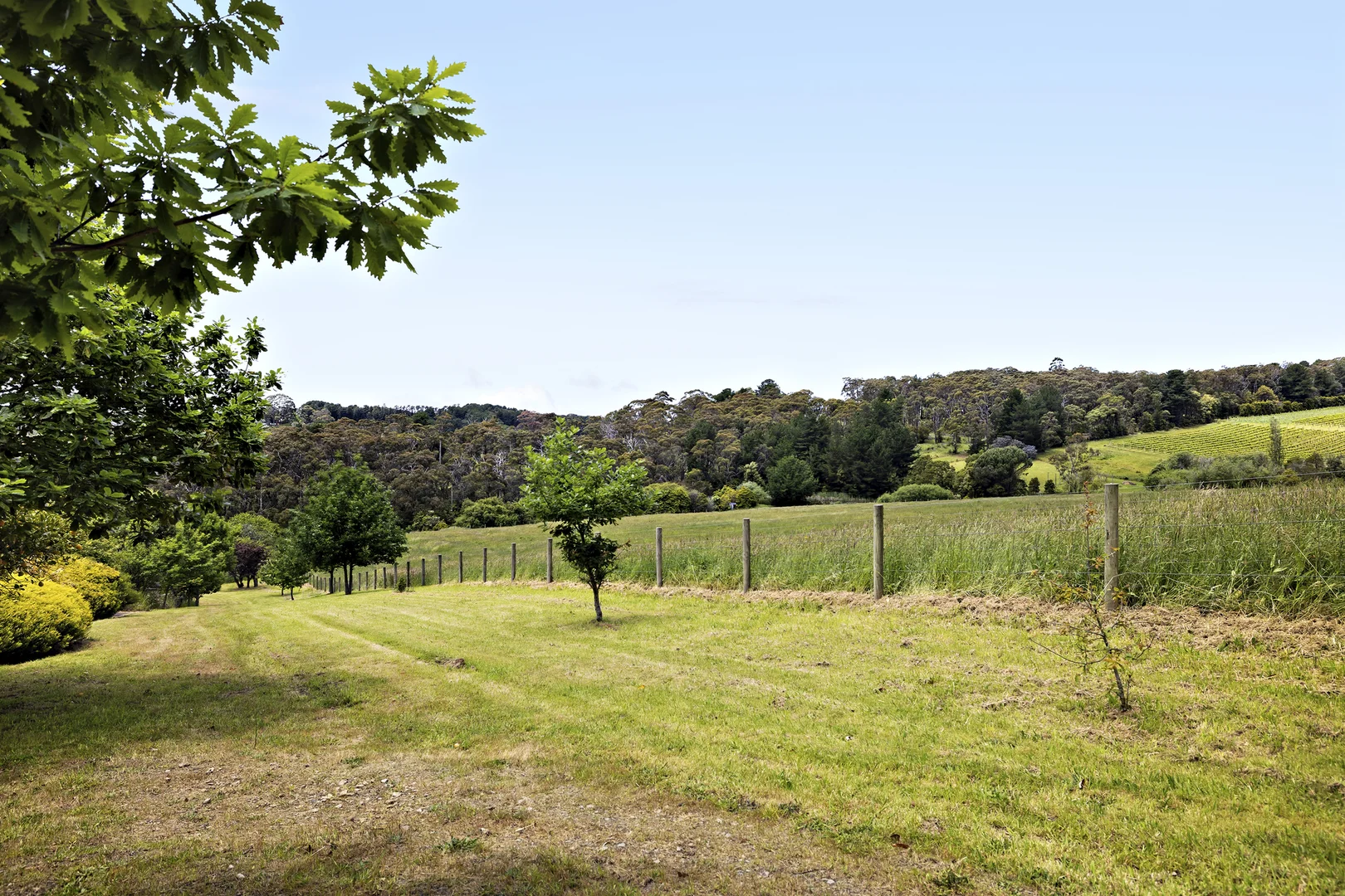 Image 15
