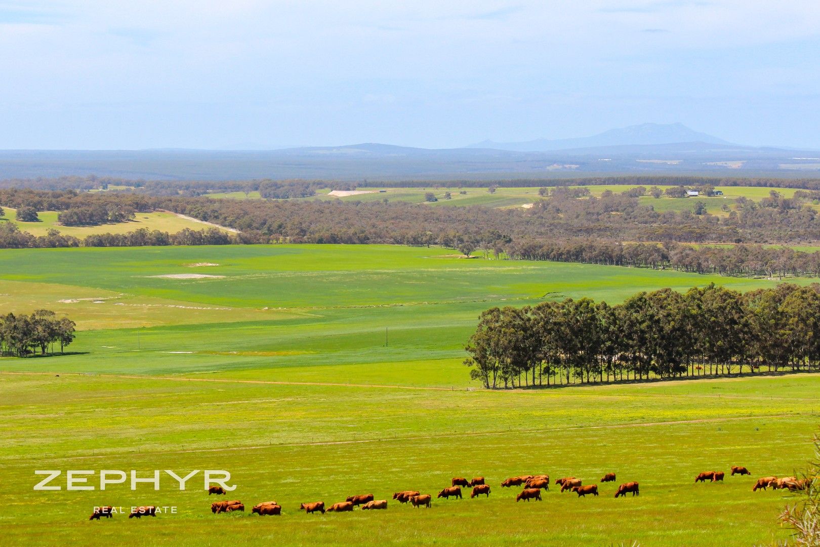 6 bedrooms Rural in 139 Takalarup Road TAKALARUP WA, 6324