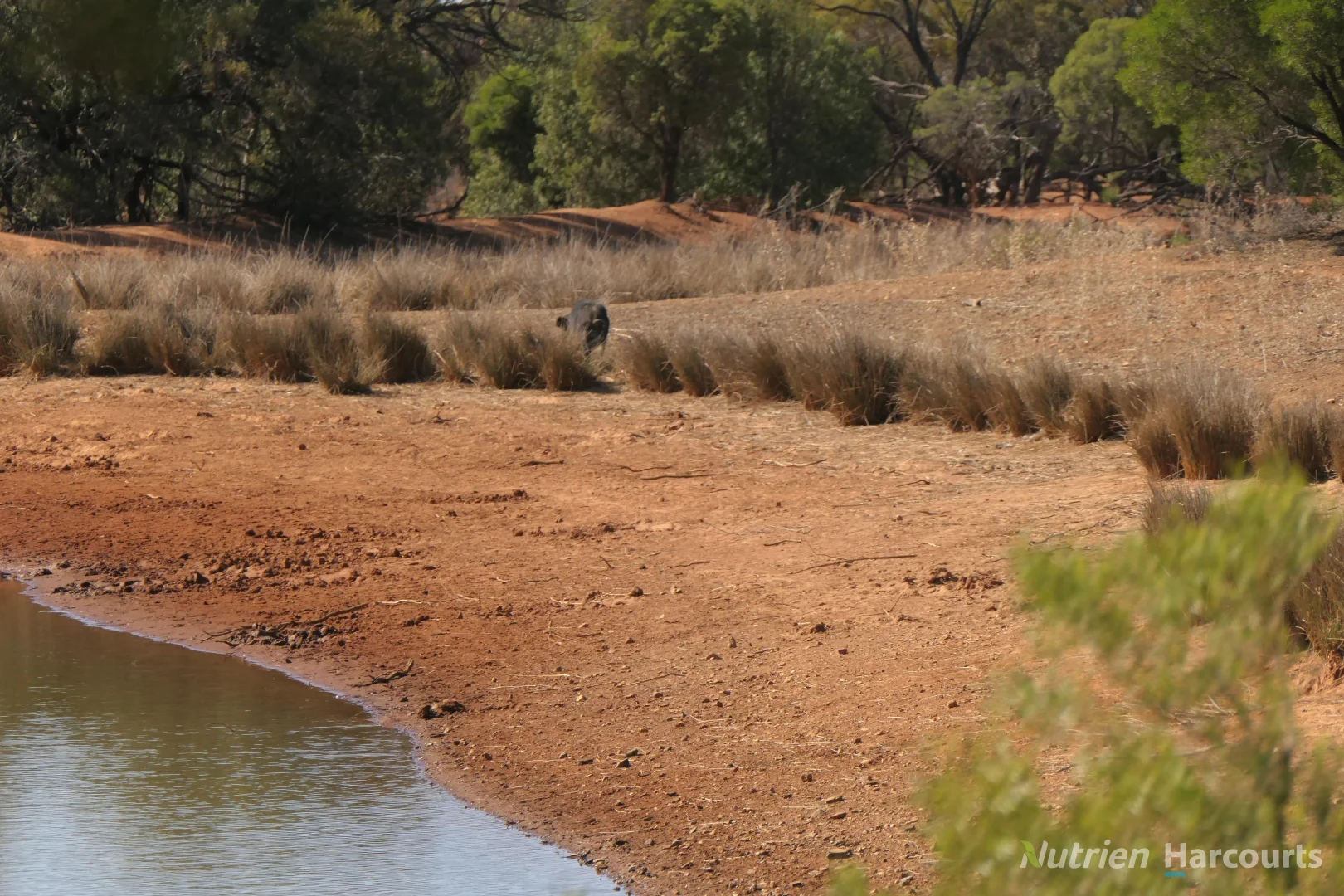Additional image 17 of 27 Singleton Drive, Cobar NSW 2835