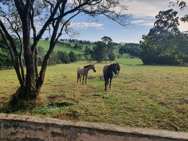 Peeramon QLD 4885, Image 0