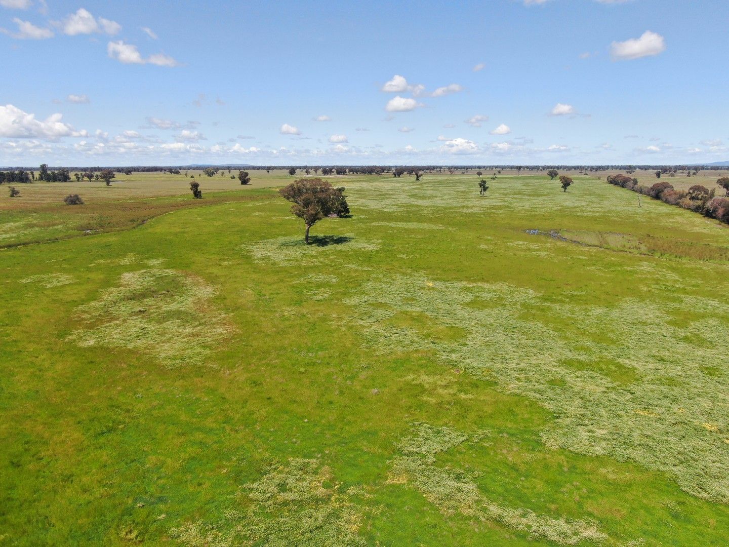 'Smithers', 1539 Bland Road, Quandialla NSW 2721 Farm for Sale