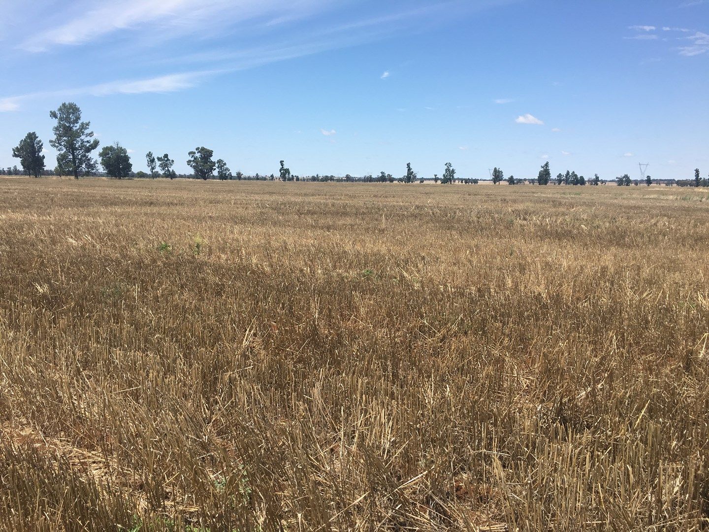 Narrandera NSW 2700, Image 0