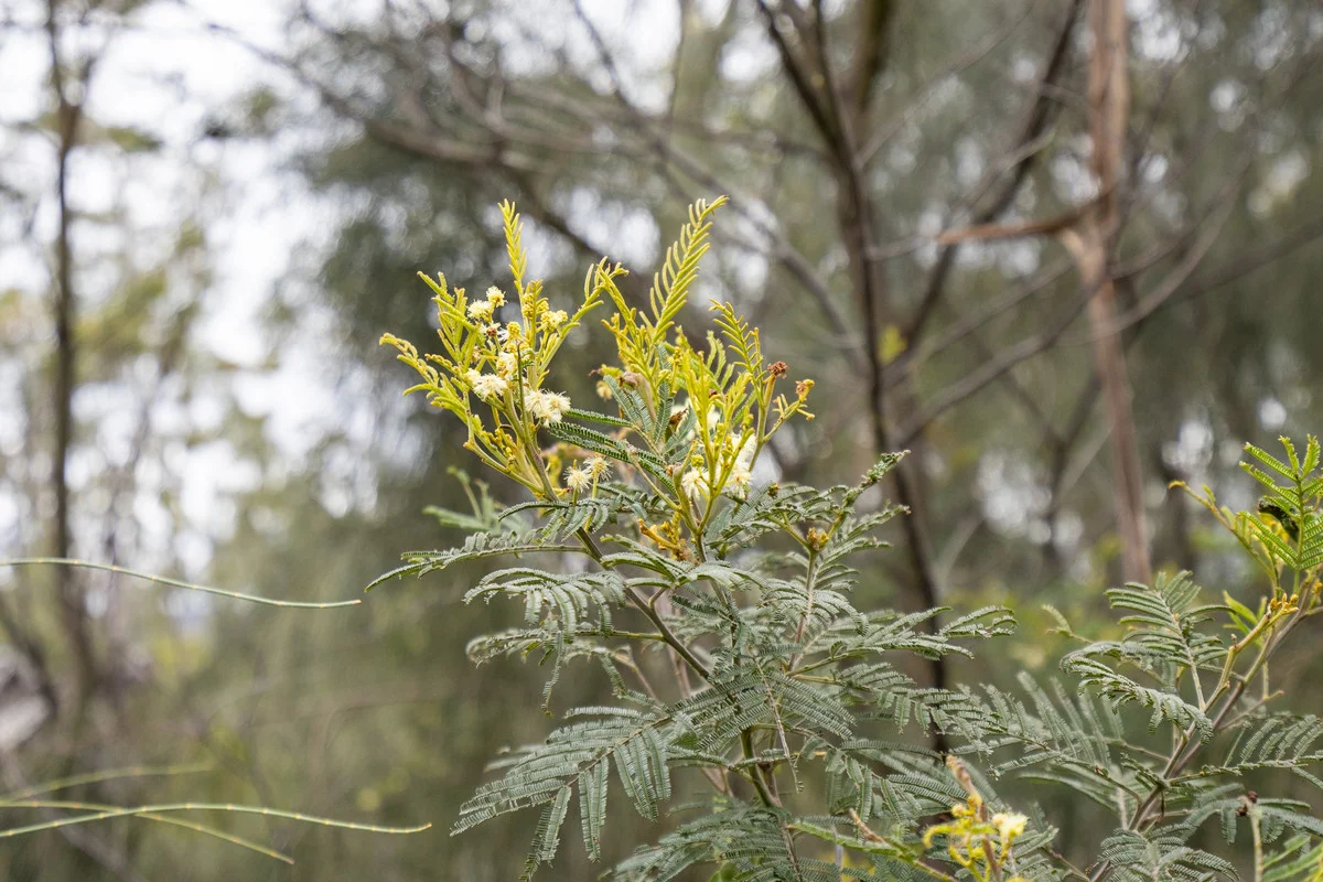 Additional image 11 of 4/194 Bresnehans Road, Little Swanport TAS 7190