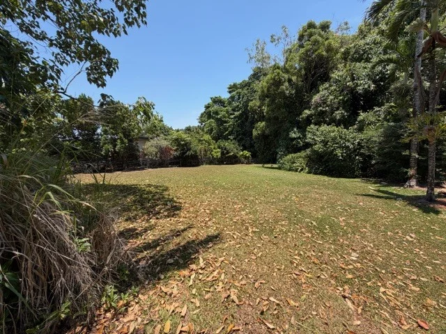 Image 13