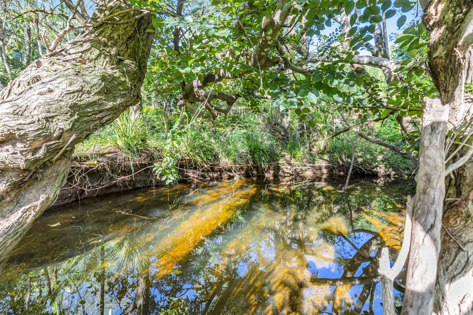 Additional image 15 of 37 Shannan Place, Kenmore QLD 4069