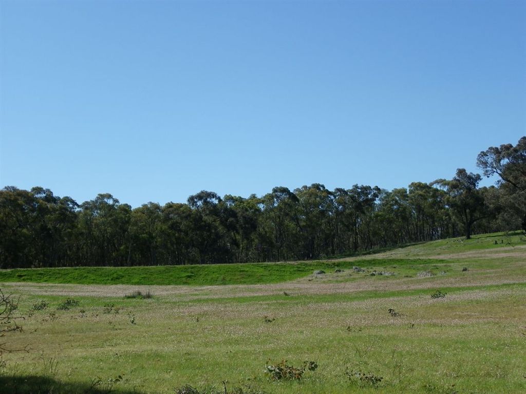 Lot 11 Raeburns Road, Redesdale VIC 3444, Image 2