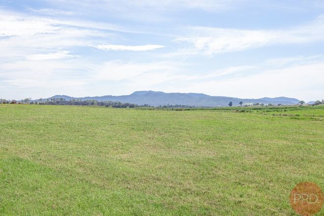 Picture of Standen Drive, LOWER BELFORD NSW 2335