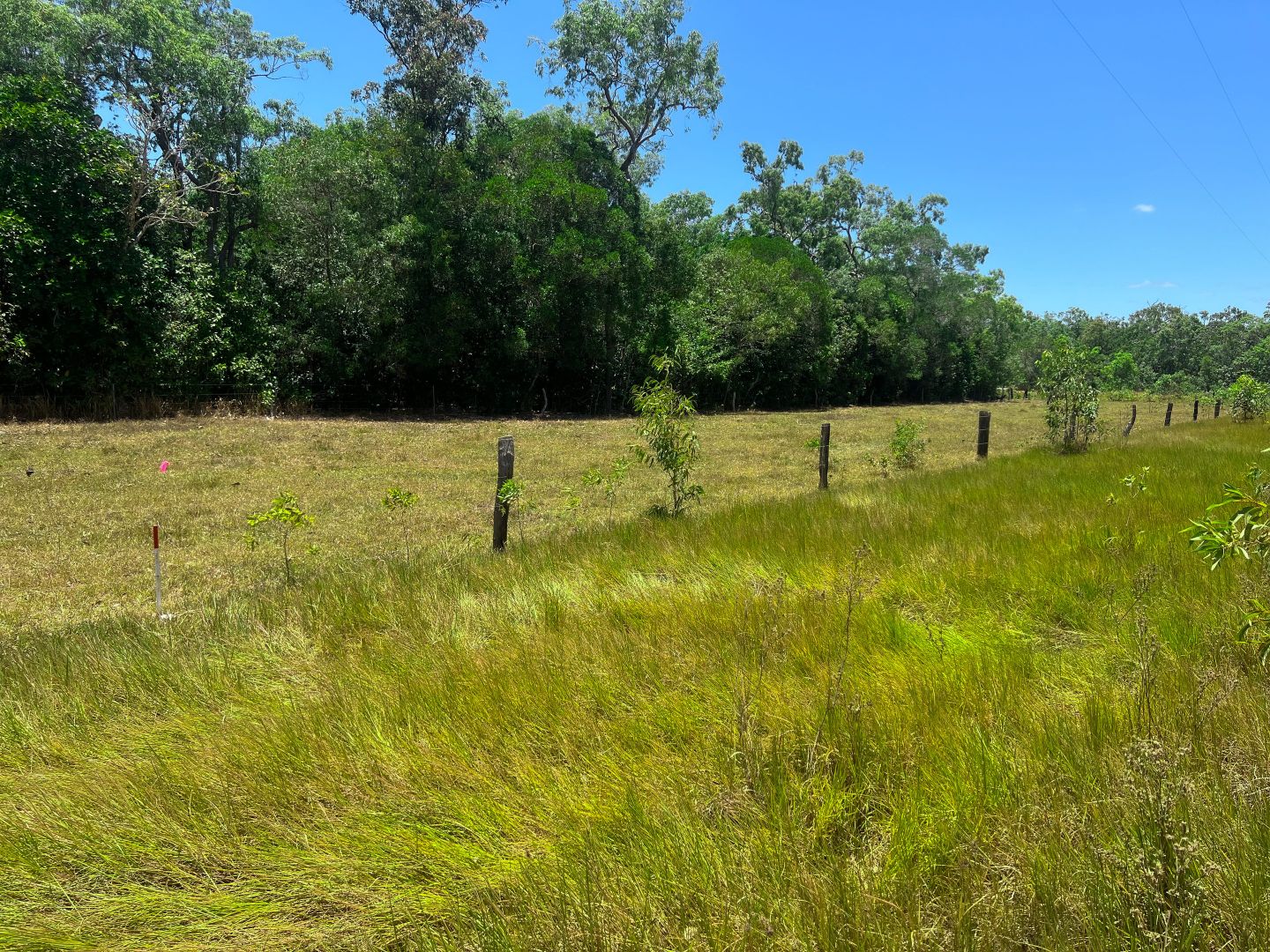506 Cameron Creek Road, Cooktown QLD 4895 Vacant Land for Sale