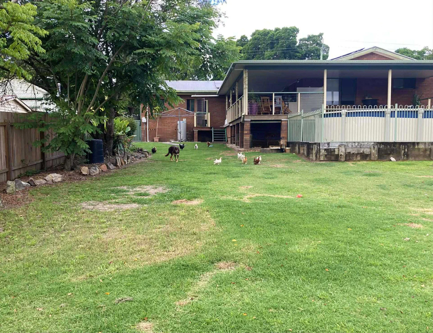 Additional image 2 of 49 Richmond Street, Lawrence NSW 2460