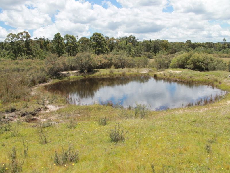 Lot 14 Catarrh Creek Road, Torrington NSW 2371, Image 2