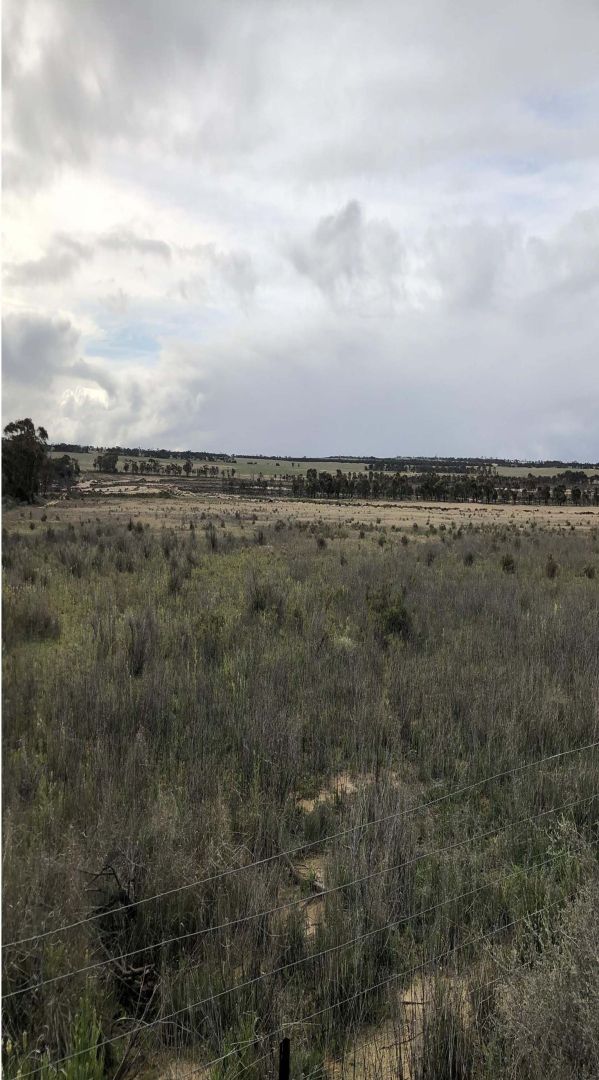 Lot 562 Wongan Hills Rd, Koorda WA 6475, Image 2